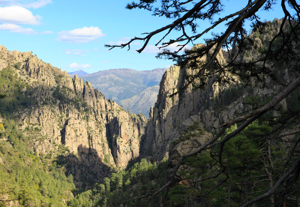 Les gorges du Tavignano